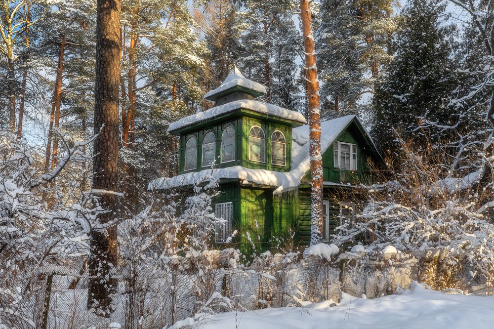 Фотография автора Александр Пашеничев