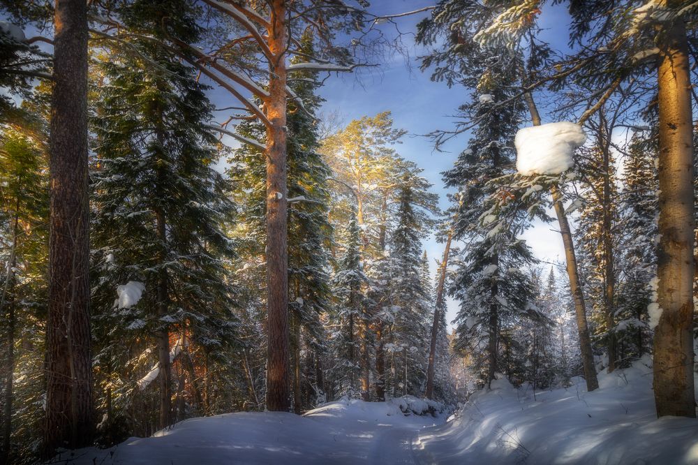 Зима сибирская