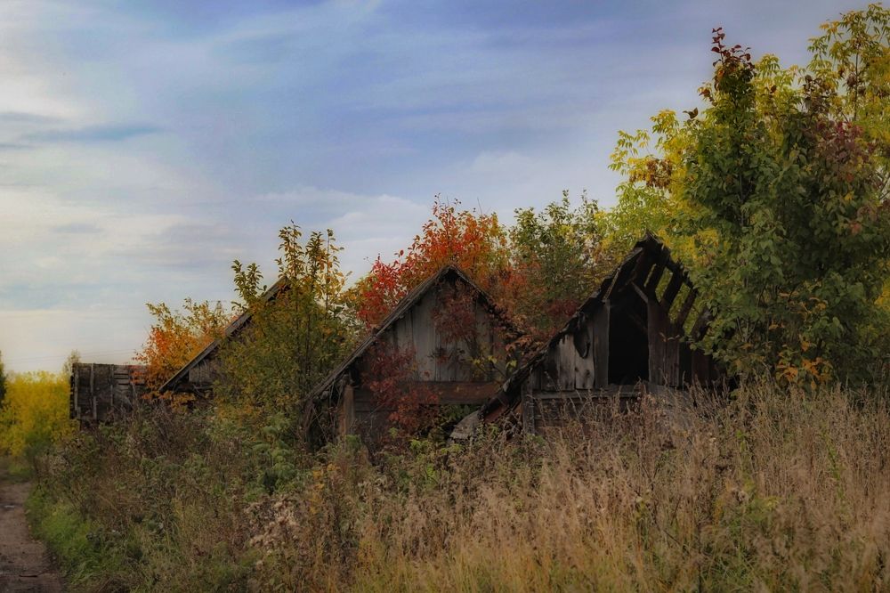Photograph by Ольга Саенко