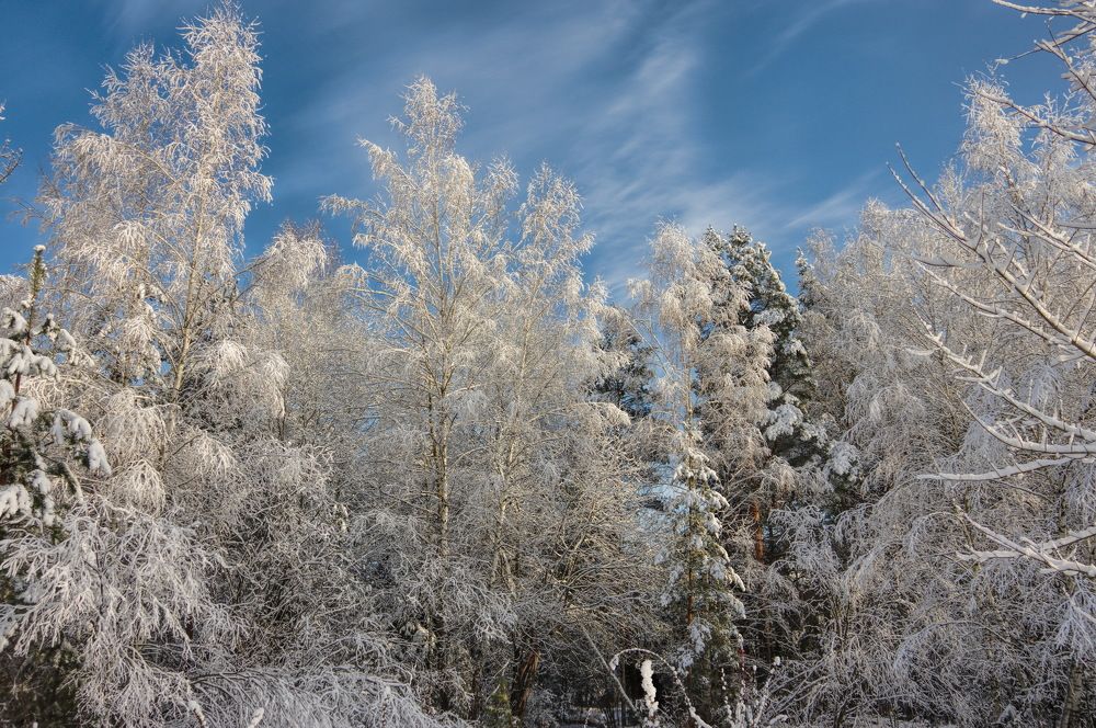 Photograph by Наталья Кащеева