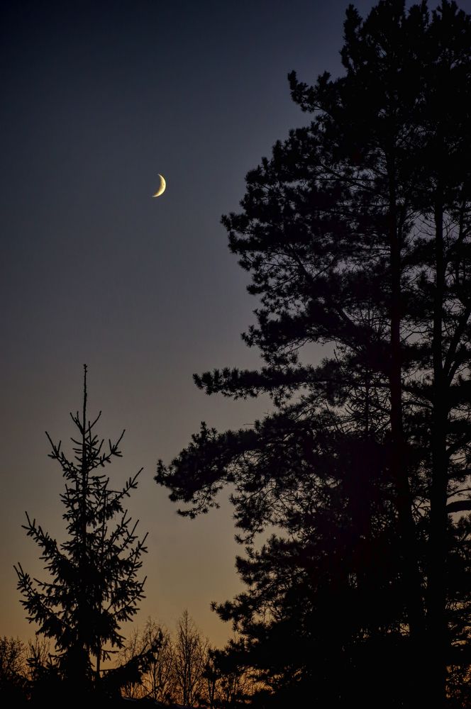 Photograph by Наталья Кащеева