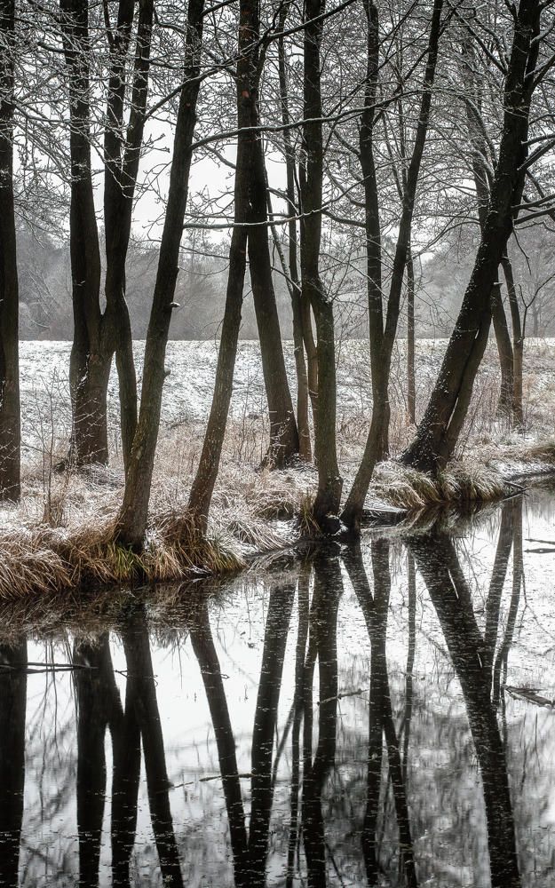 Photograph by Полина Хрол