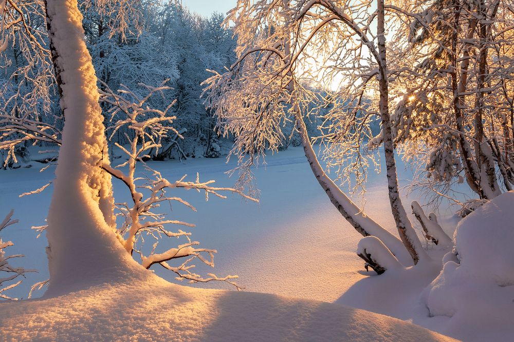 Photograph by Александр Кузнецов