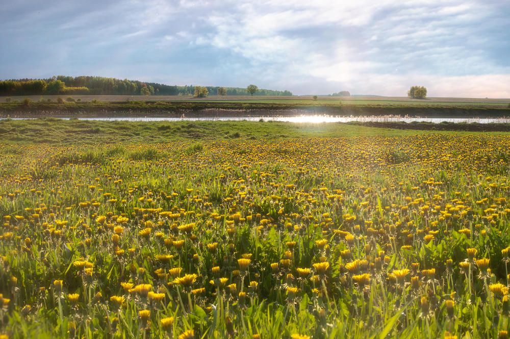 Photograph by Полина Хрол