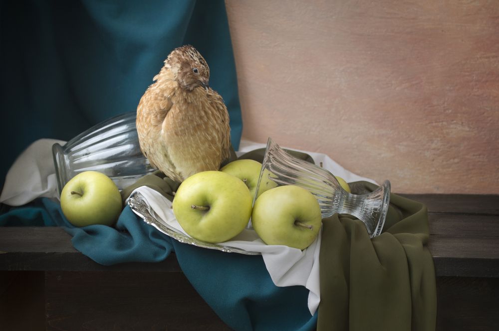 Фотография автора Янина Черпухина-Андреева