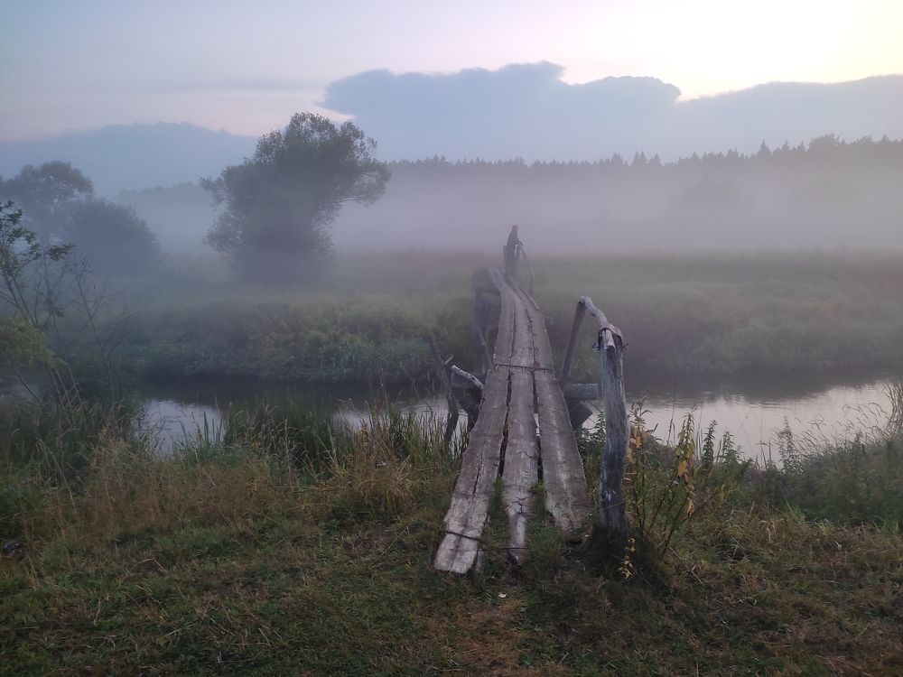 Фотография автора Van Gross