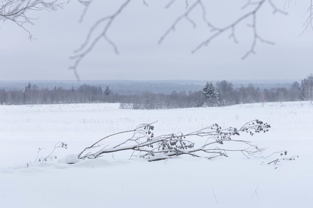 Фотография автора Van Gross
