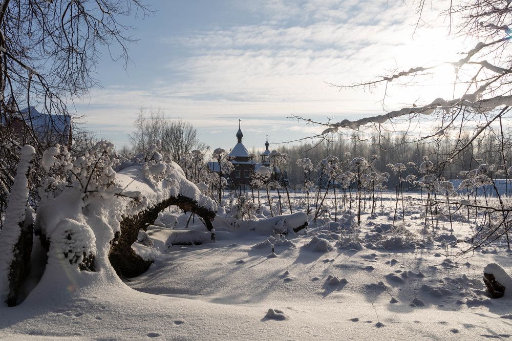 Фотография автора Van Gross