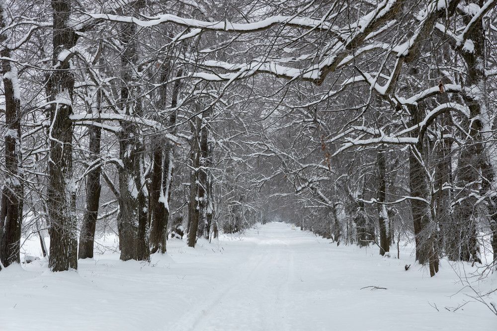 Фотография автора Van Gross