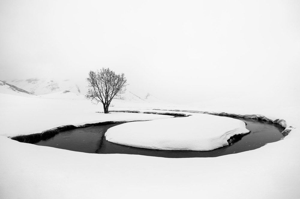 Фотография #10176209