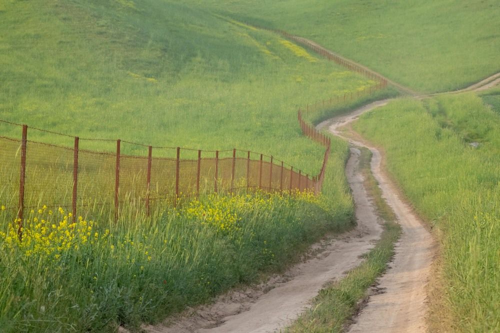 Фотография автора Van Gross