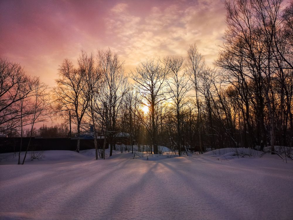 Photograph by Вероника Ливанова