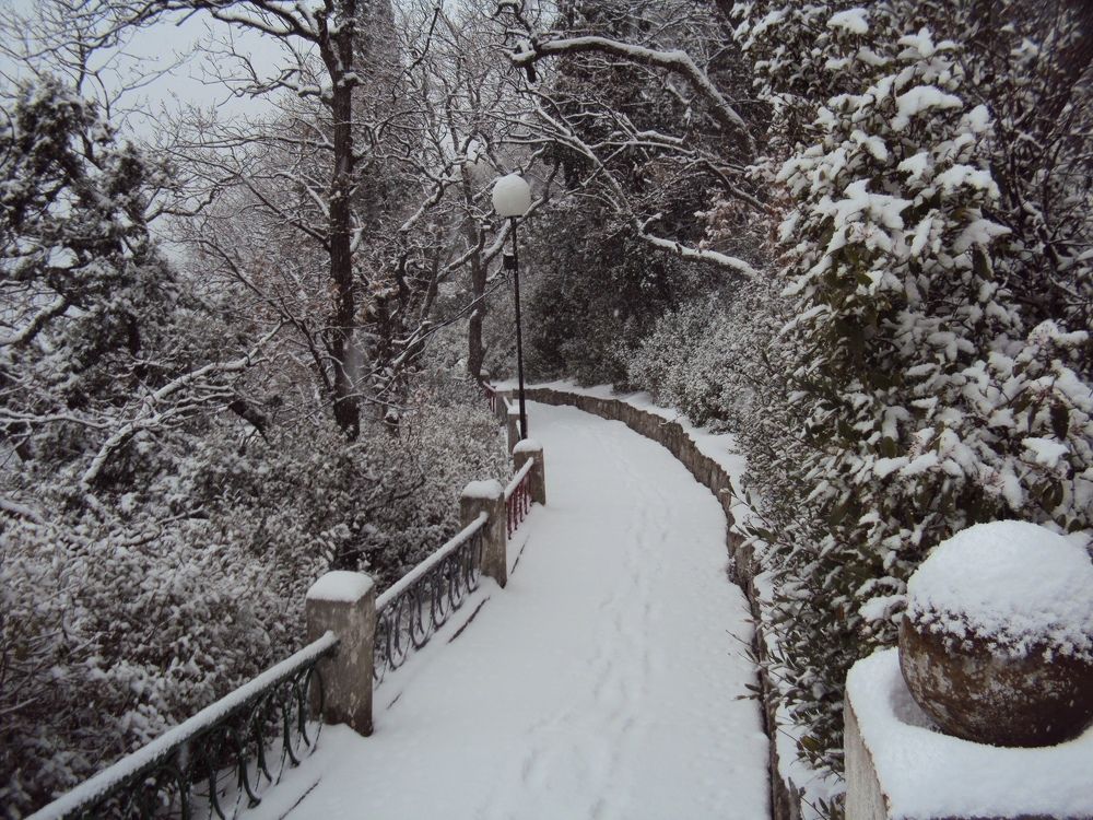 Photograph by Екатерина Игоревна