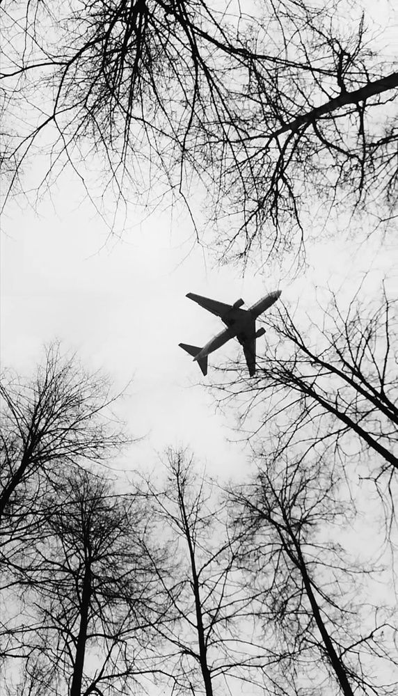 Photograph by Екатерина Романова