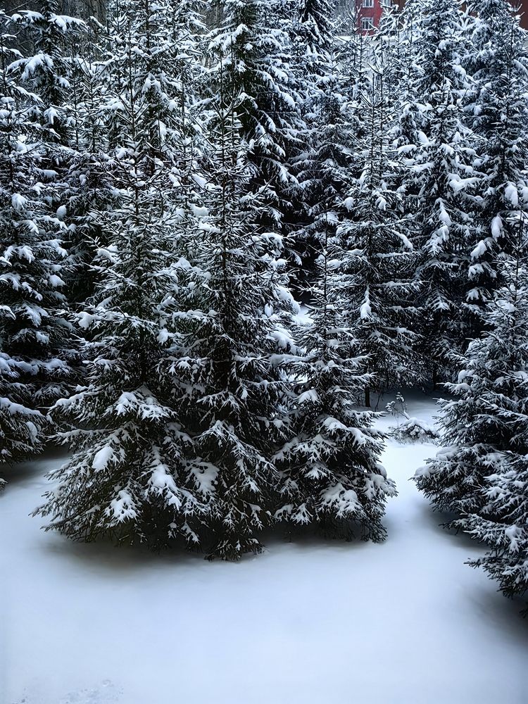 Photograph by Alexandr