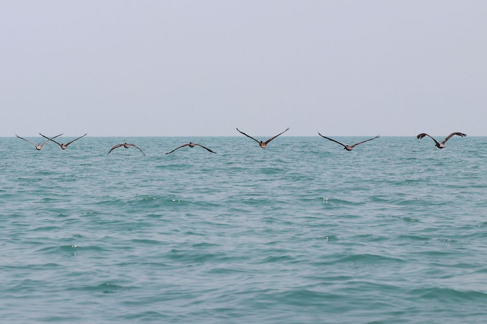 Photograph by Dagmar Vopolková