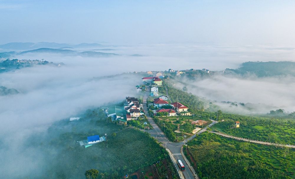 Photograph by Hai Tran