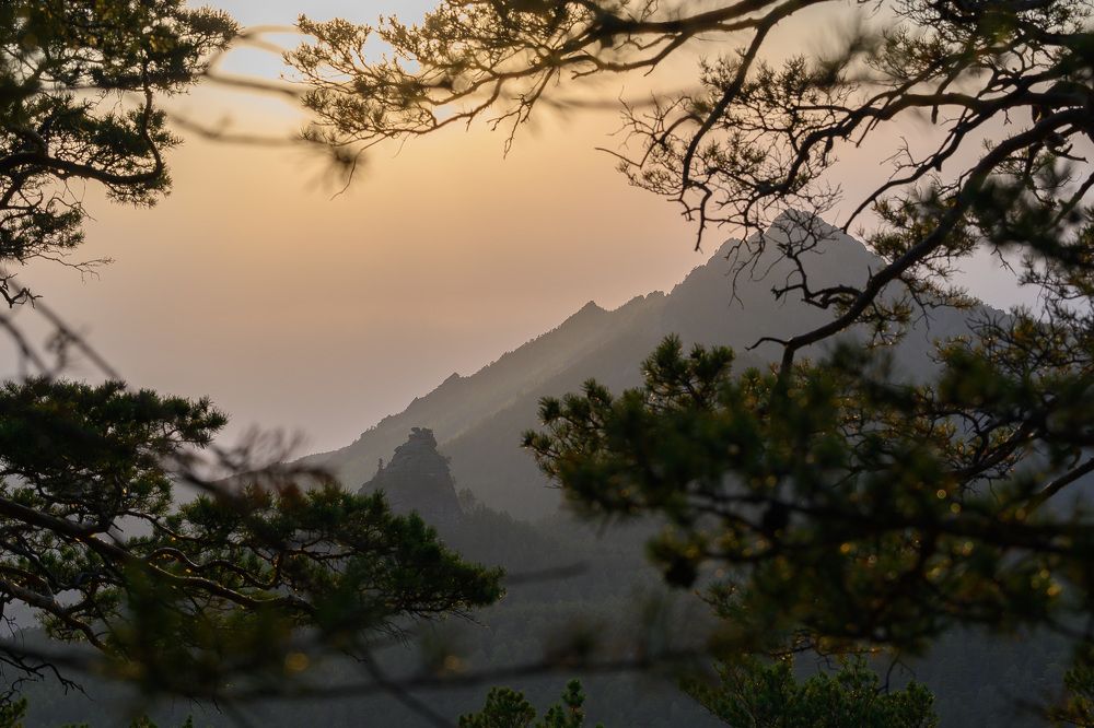 Photograph by Nuri Tap