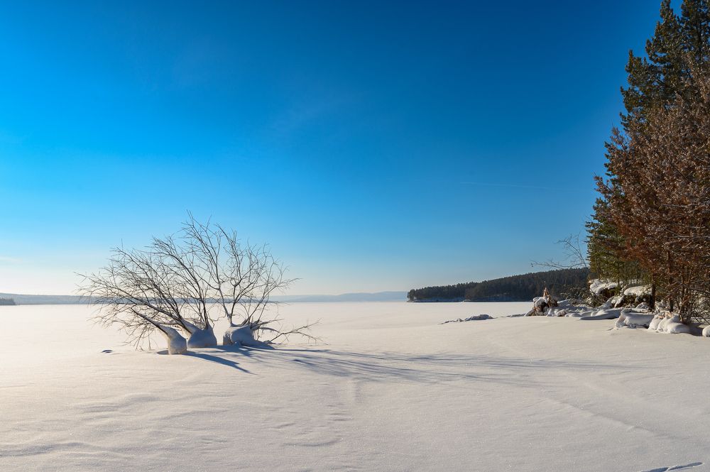 Photograph by Альмира