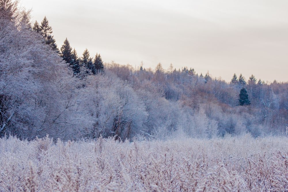 Мороз не шутит