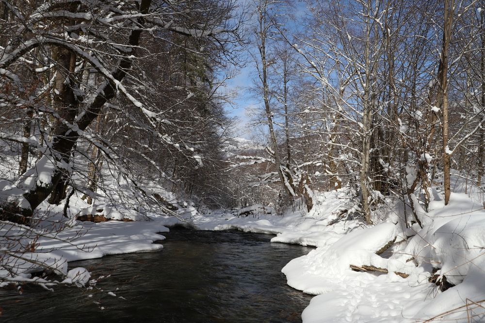 Photograph by Popa Alin