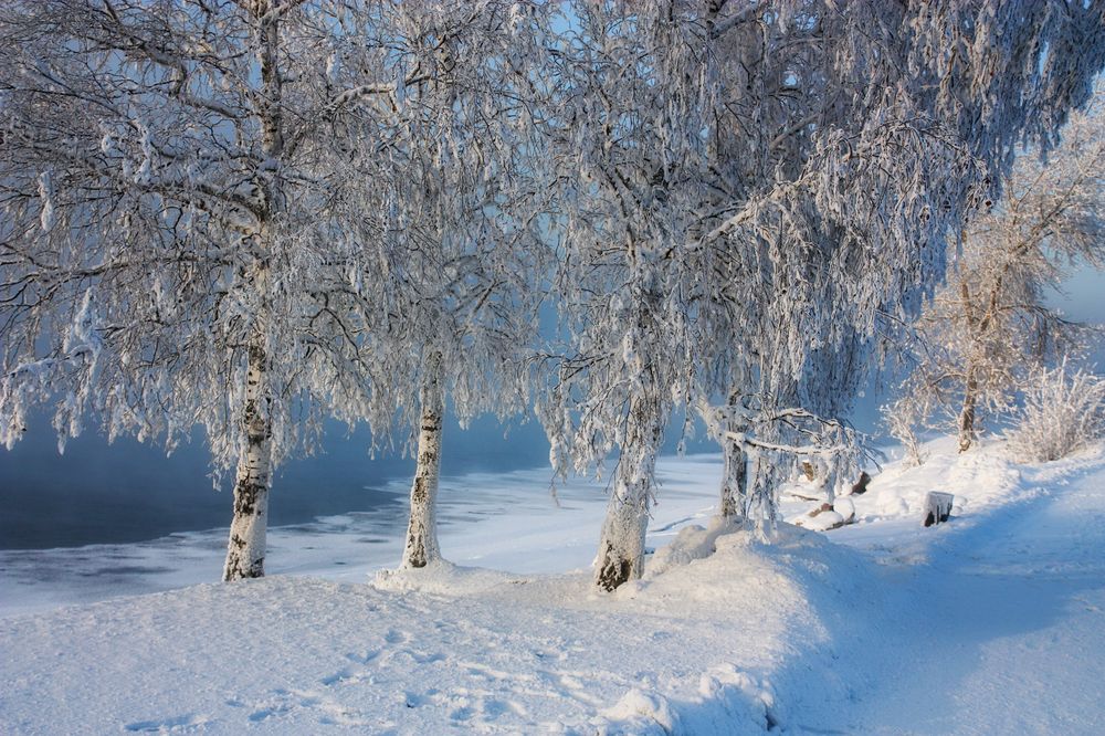 Photograph by Ольга Литвинцева