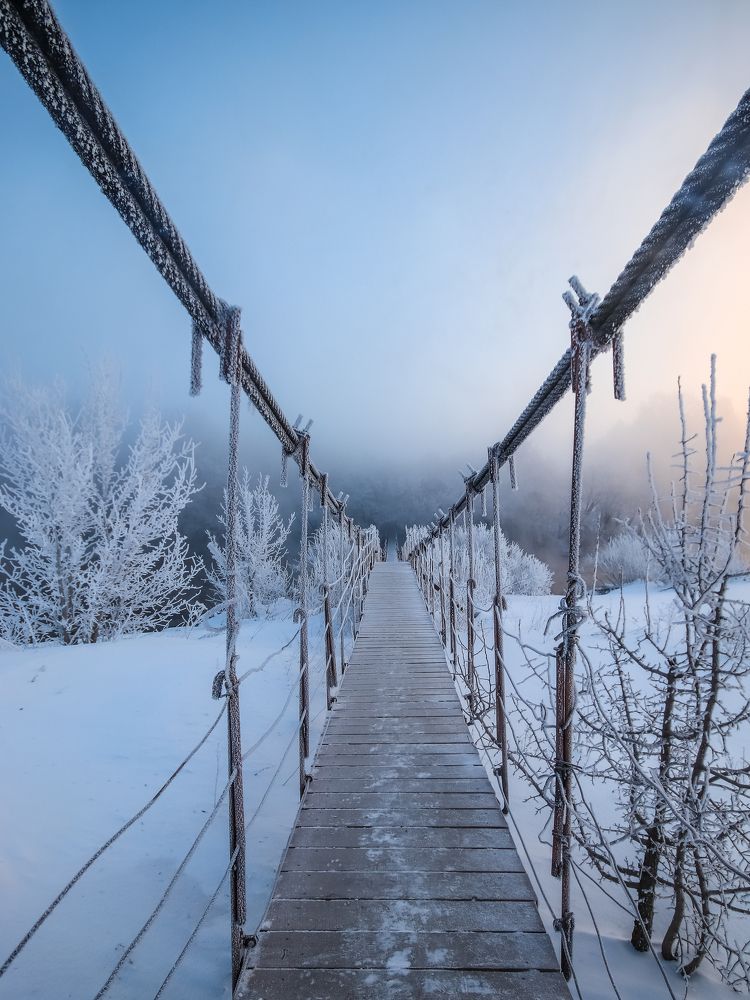 Фотография автора Васильев Игорь