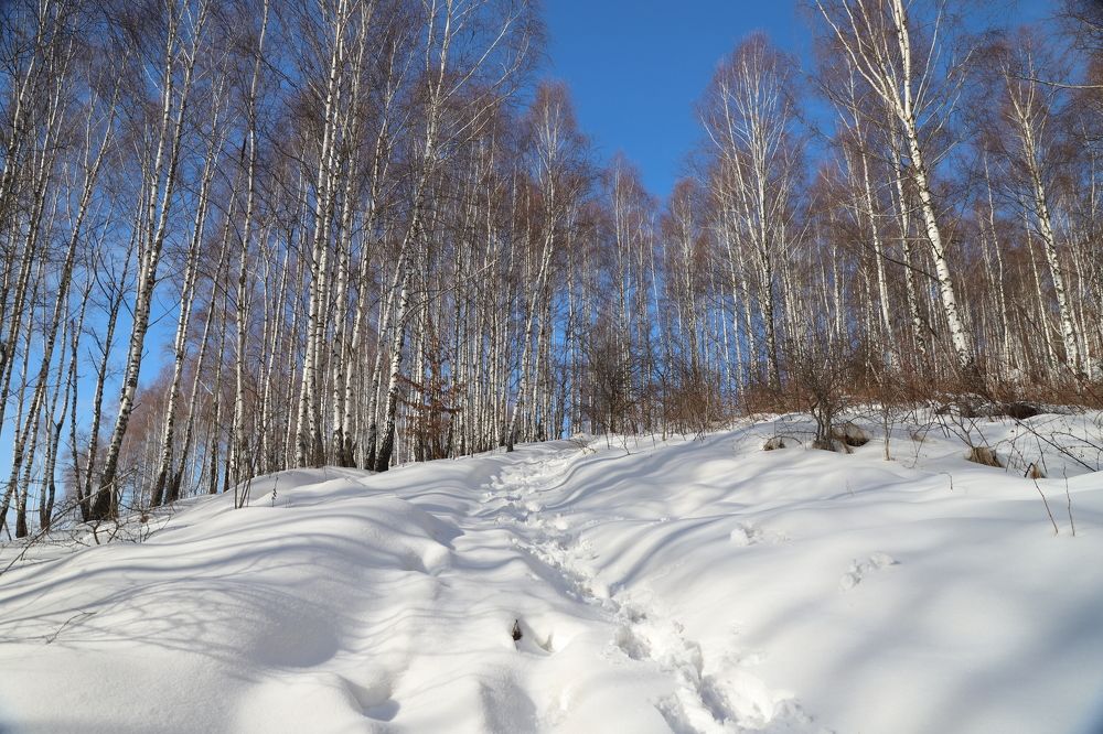 Photograph by Popa Alin