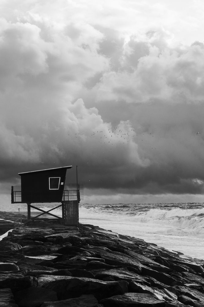 Photograph by Giorgi Begadze