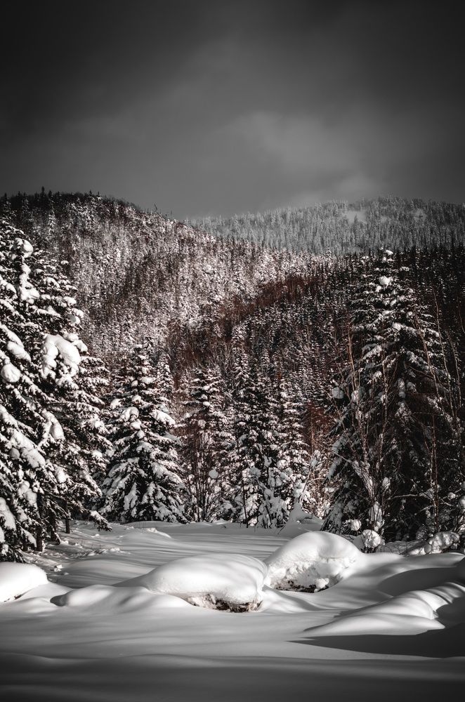 Photograph by Вероника Ливанова