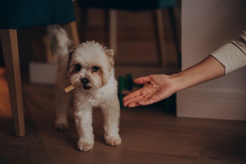 Photograph by Юлия Насифуллина