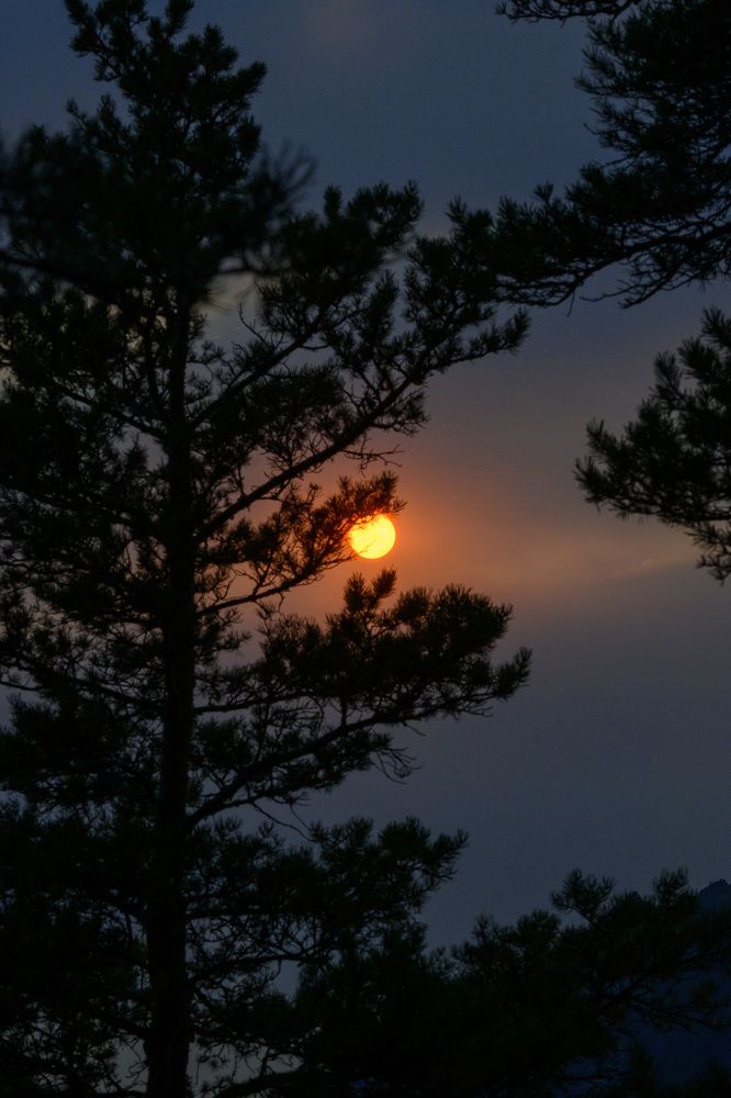 Photograph by Nuri Tap