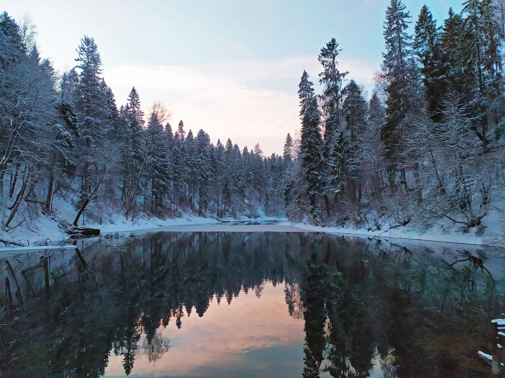 Photograph by Olga Kot