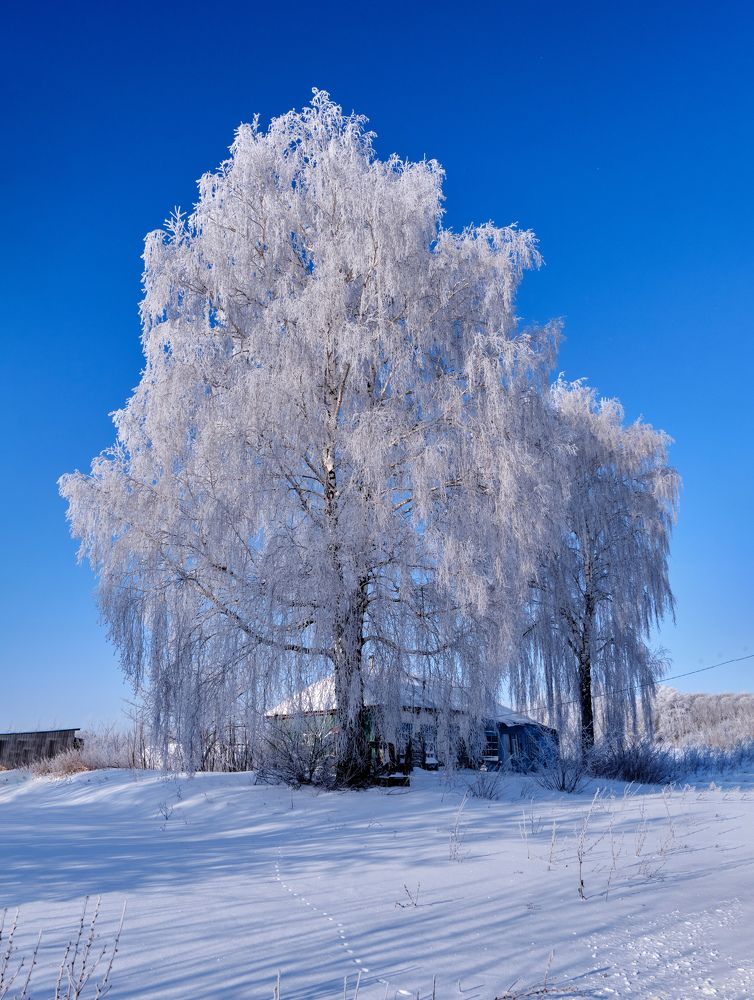 Фотография автора Виктор Долматов