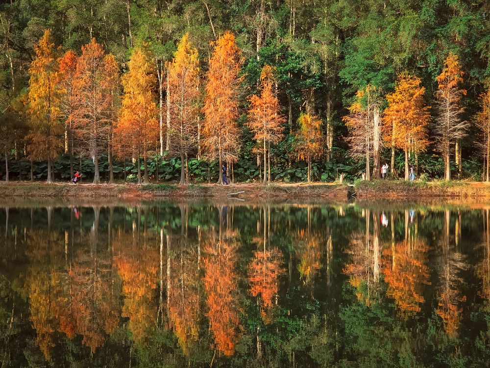 Photograph by Ho Chung Howard Tong