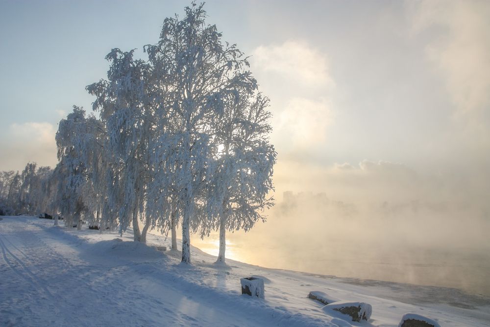 Photograph by Ольга Литвинцева