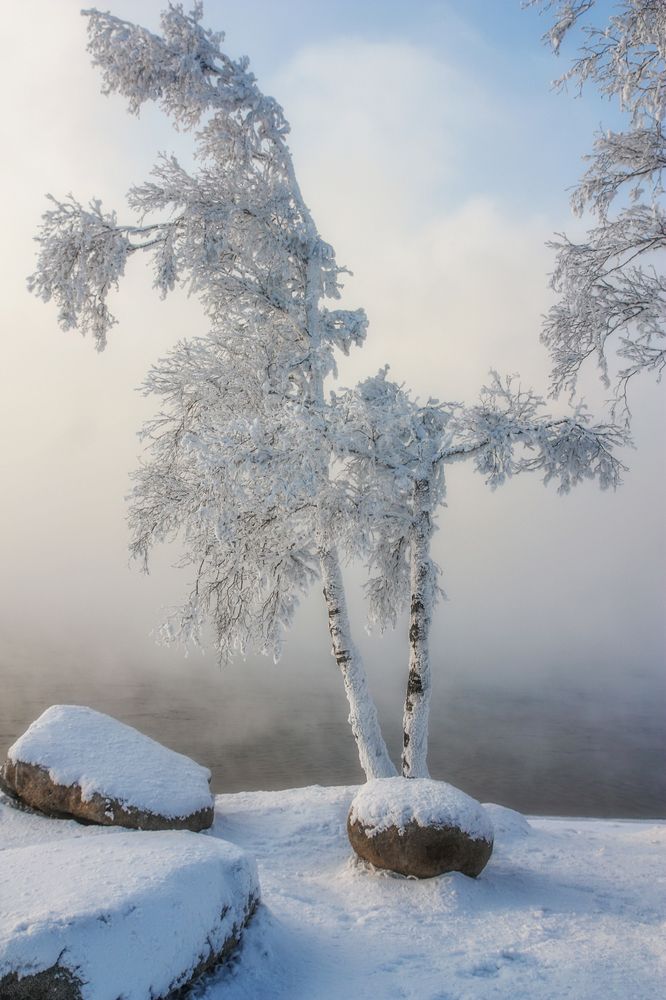 Photograph by Ольга Литвинцева