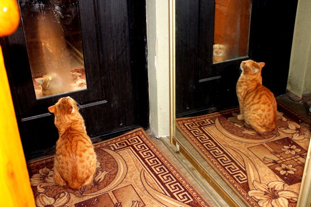 Photograph by Николай Немчанинов