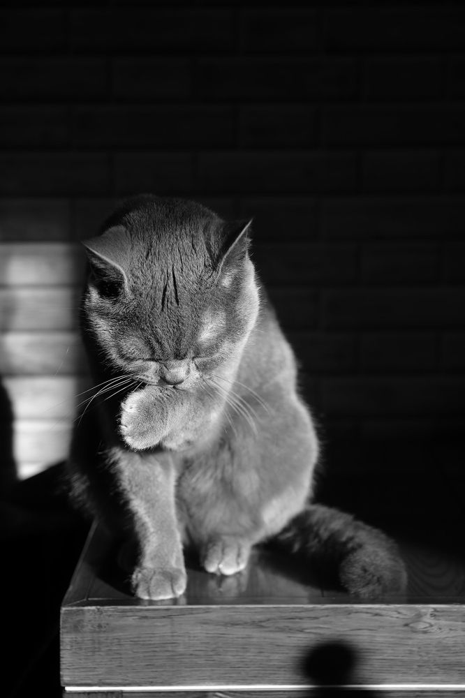 Фотография автора Наталья Боярина