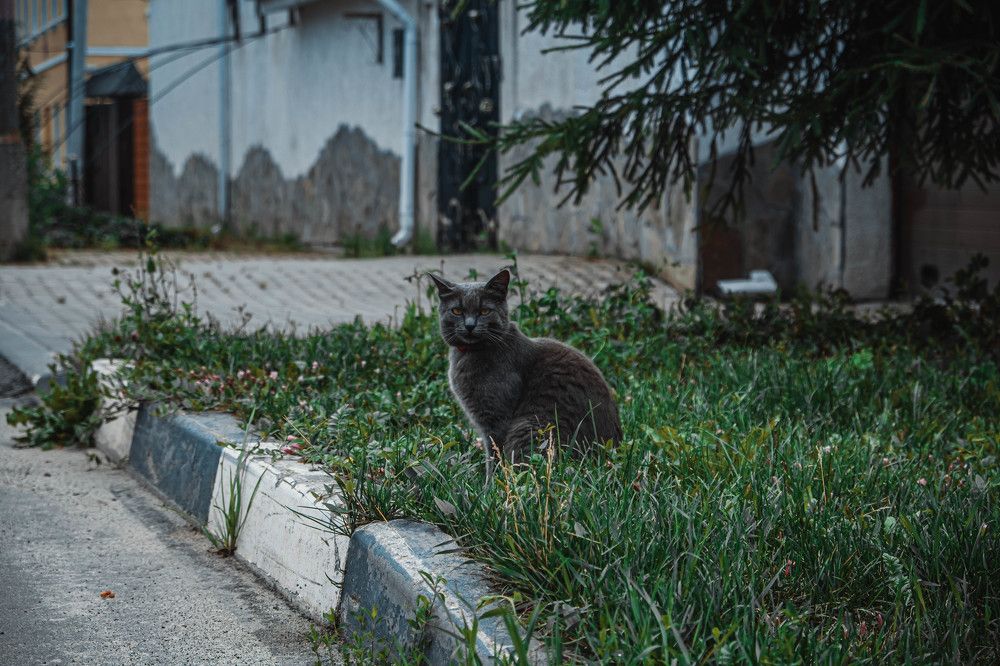 Photograph by Tatiana Potapenko