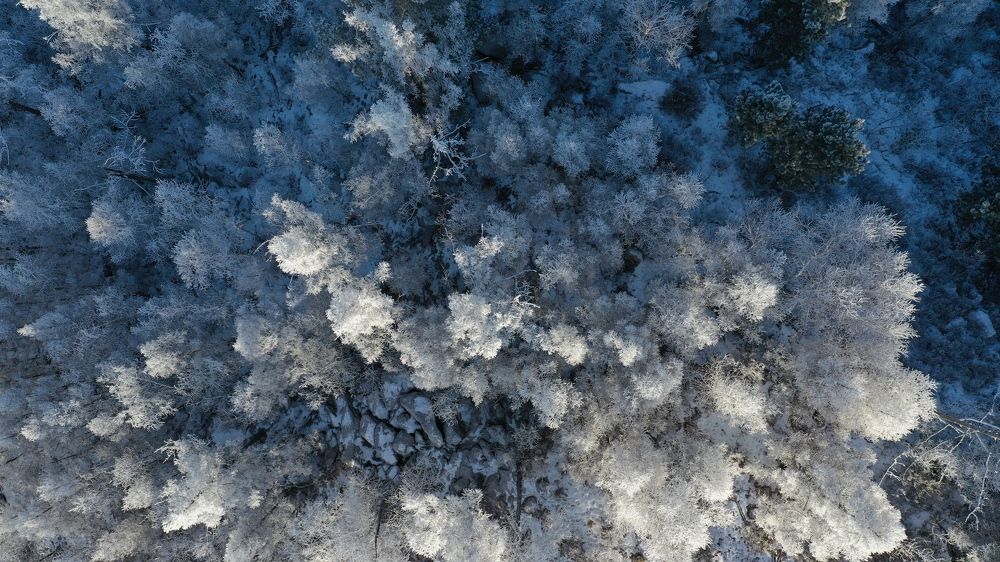 Photograph by Aleksey Maevskiy