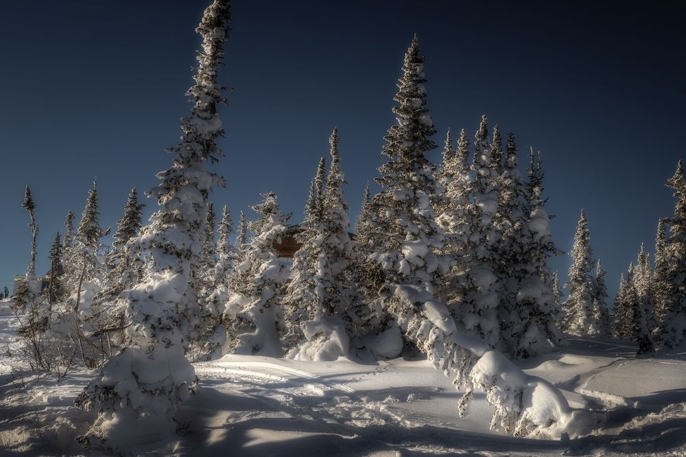 Photograph by Мария Камендова