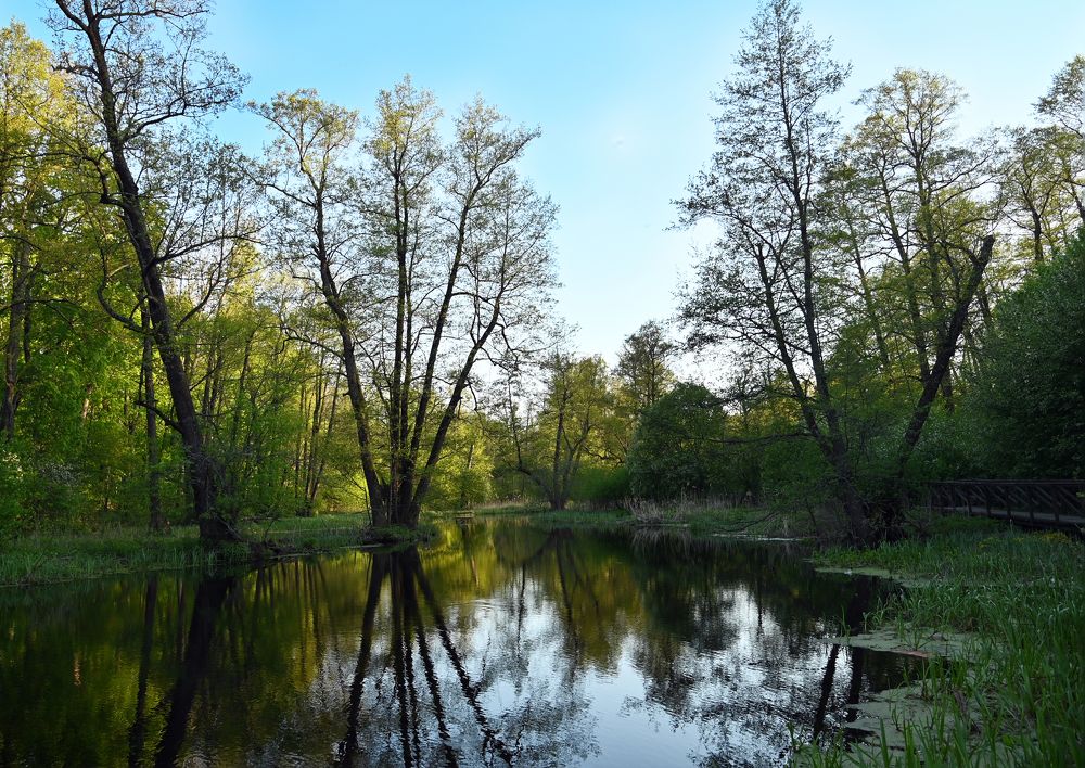 Заповедные места