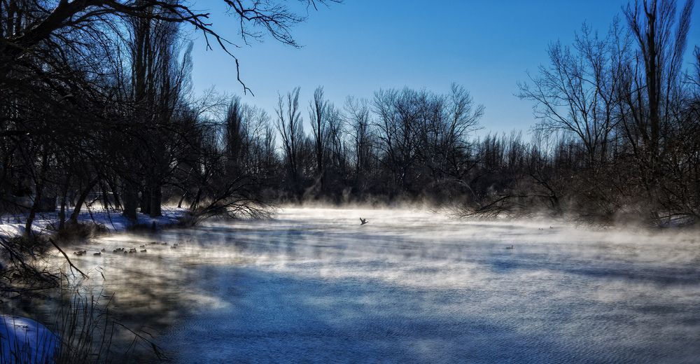 Фотография автора Сергей Павлов