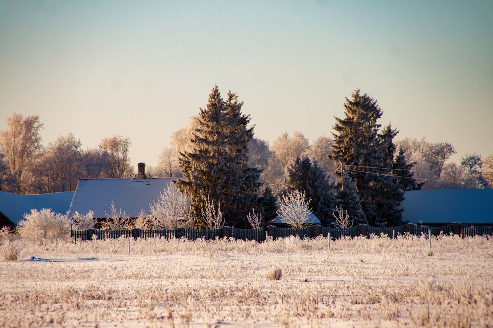 Photograph by Andrei Miškin