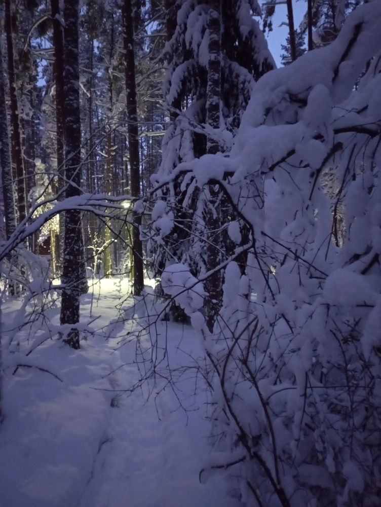 Photograph by Boris Butianov