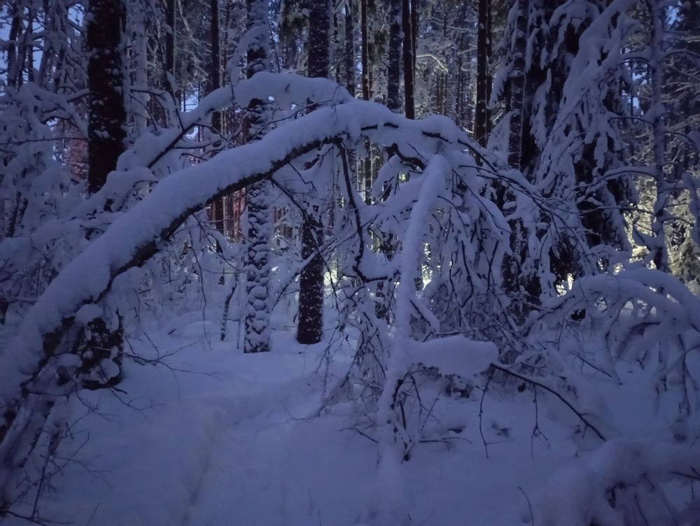 Photograph by Boris Butianov