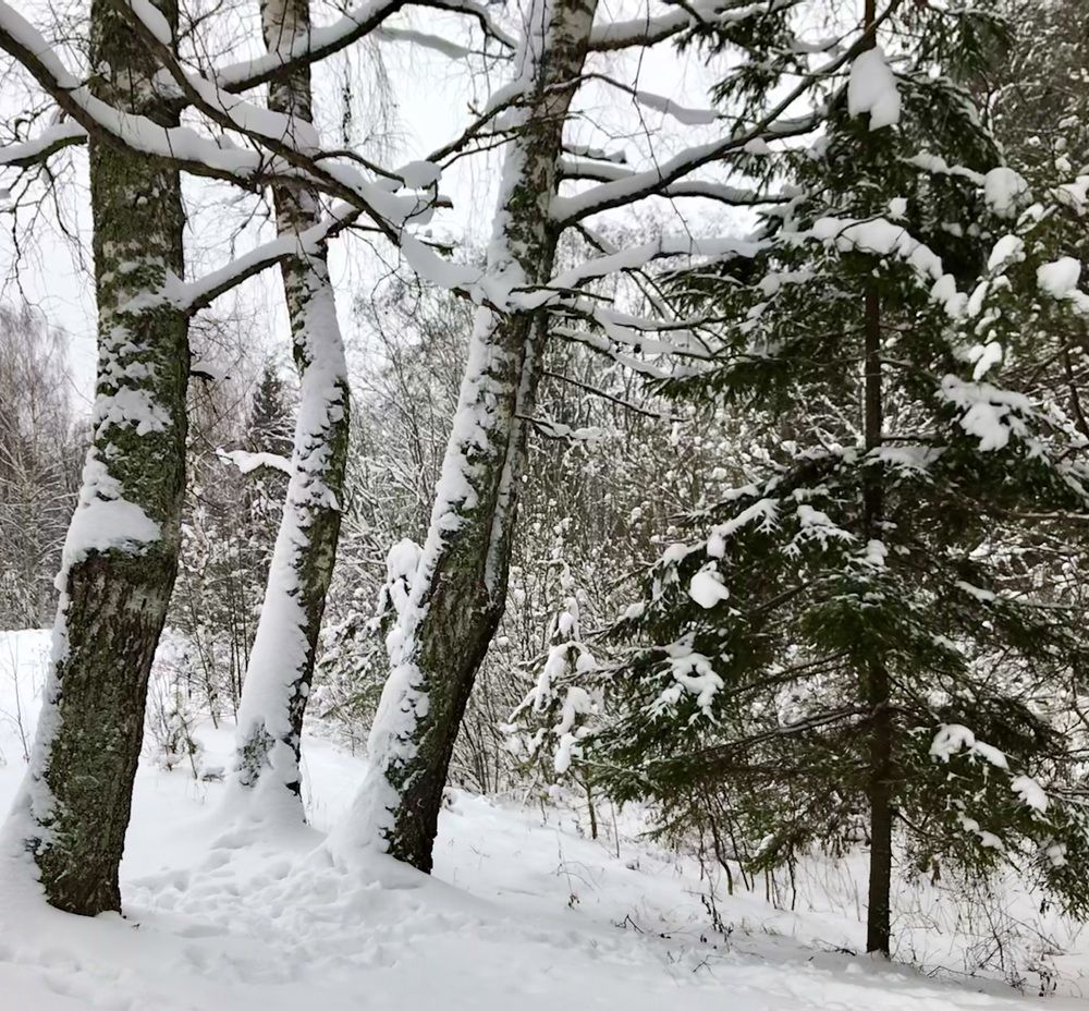 Photograph by Ольга Старкова