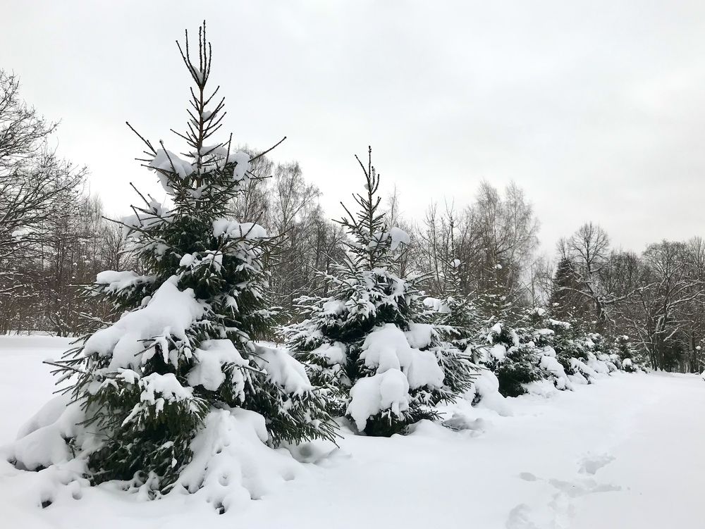 Photograph by Ольга Старкова