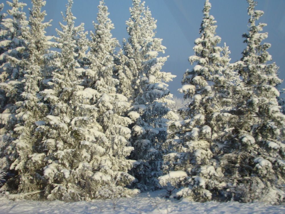 Photograph by Boris Butianov